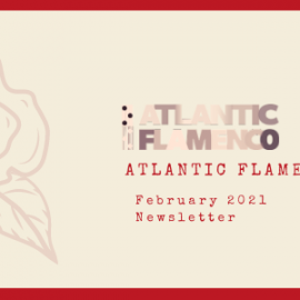 Newsletter – February 2021