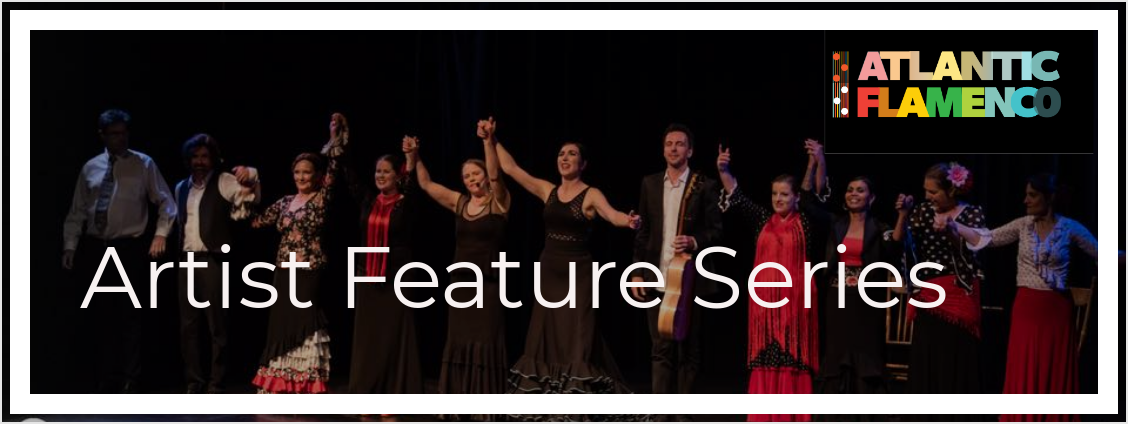 Artist-Series-Banner