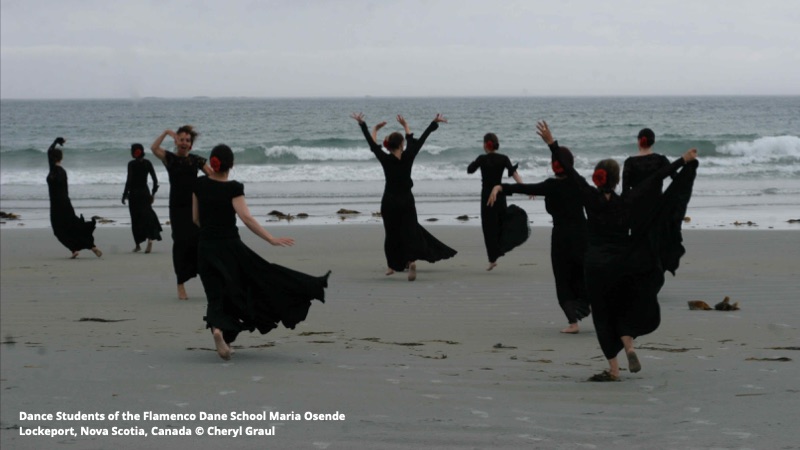 AF Summer Newsletter – Flamenco and Tomatoes!