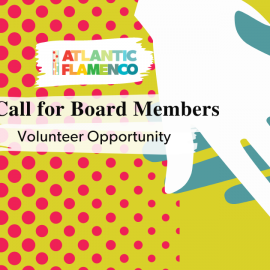 Volunteer Opportunity