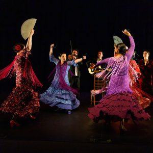 MOFC - DAINIW 2019_credit_JJ_2272 MOFC - DAINIW 2019_credit_JJ_2272
